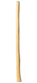 Natural Finish Didgeridoo (TW884)